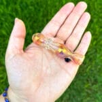 Mini Glass Chillum Pipe | Best One Hitters